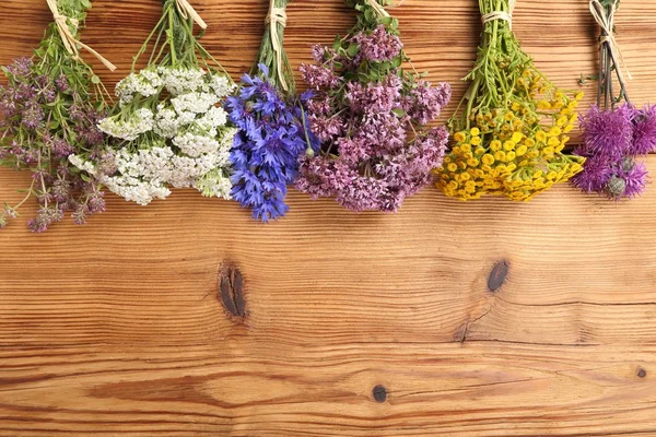 Herbs. Natural medicine. — Stock Photo, Image