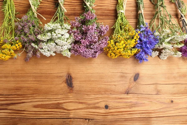 Herbs. Natural medicine. — Stock Photo, Image