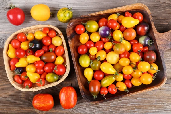 Kleurrijke verschillende soort tomaten. — Stockfoto