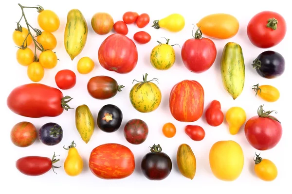 Coloridos tipos diferentes de tomates . — Foto de Stock