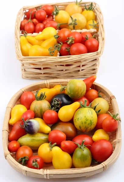 Pomodori gentili diversi variopinti . — Foto Stock