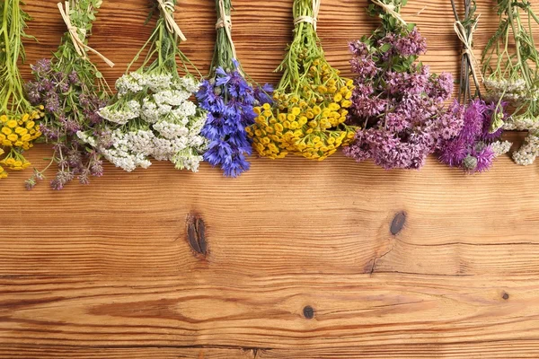 Herbs. Natural medicine. — Stock Photo, Image