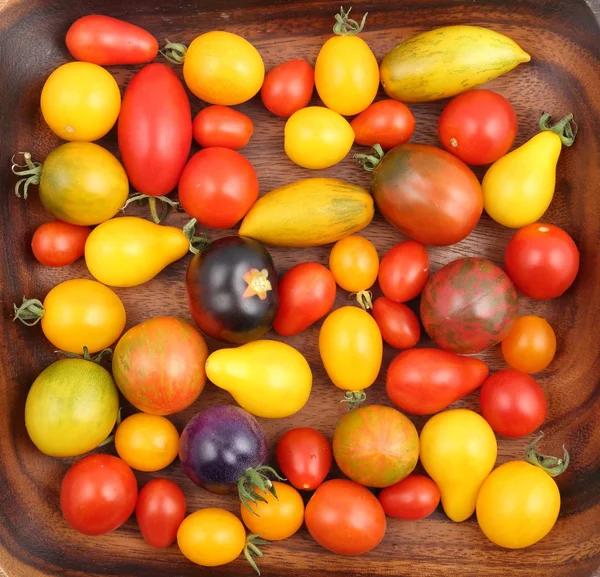 Tomates colorées différentes sortes . — Photo