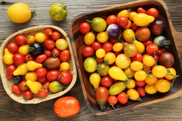 Tomates coloridos de diferentes tipos . — Fotografia de Stock