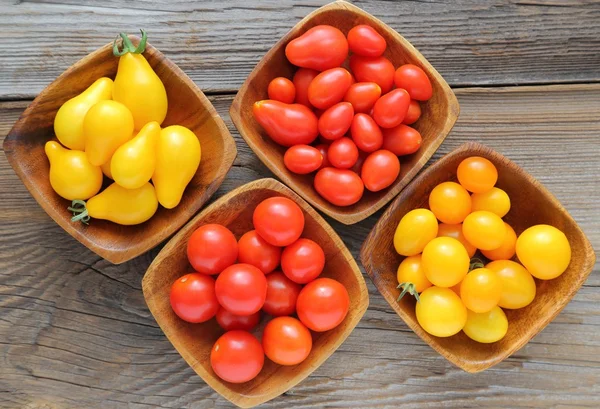 Pomodori gentili diversi variopinti . — Foto Stock