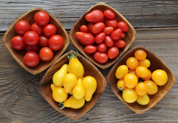 Kleurrijke verschillende soort tomaten. — Stockfoto