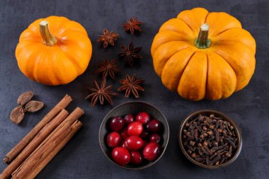 Siyah arka planda balkabakları, kızılcıklar ve baharatlar.