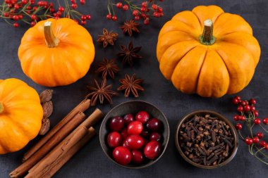 Siyah arka planda balkabakları, kızılcıklar ve baharatlar.