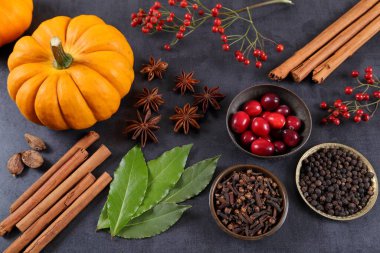 Siyah arka planda balkabakları, kızılcıklar ve baharatlar.