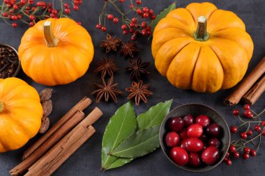 Siyah arka planda balkabakları, kızılcıklar ve baharatlar.