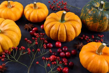 Siyah arka planda balkabakları, kızılcıklar ve gül kalçaları.