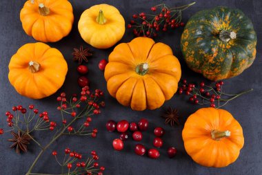 Siyah arka planda balkabakları, kızılcıklar ve gül kalçaları.