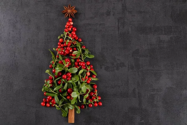 Kerstboom Met Takjes Bessen Een Zwarte Achtergrond — Stockfoto