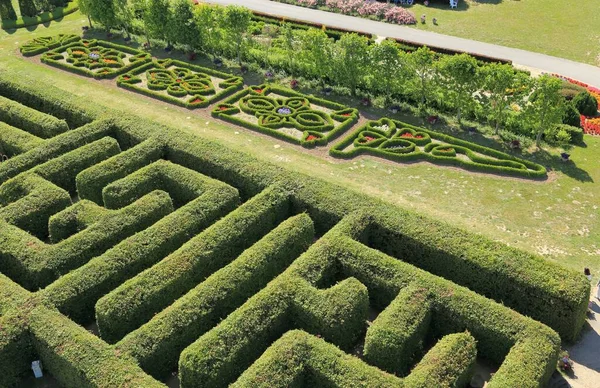 Mooie Originele Tuin Decoratie Verschillende Soorten Kleurrijke Struiken Bloemen — Stockfoto