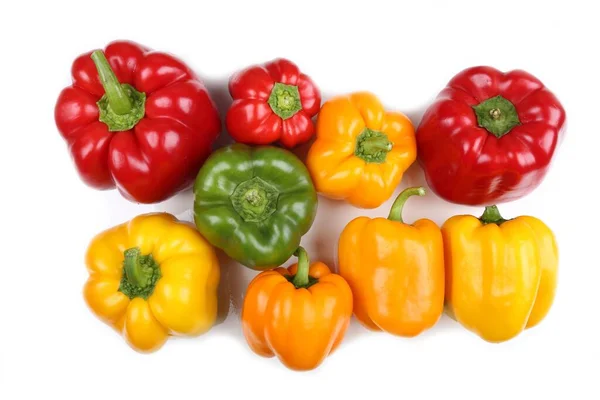 Bunte Paprika Auf Weißem Hintergrund — Stockfoto