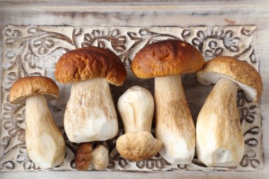 Porcini mantar
