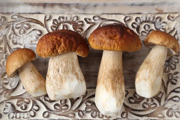 Porcini mushrooms — Stock Photo, Image