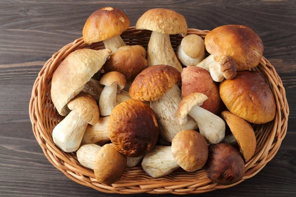 Porcini mushrooms — Stock Photo, Image