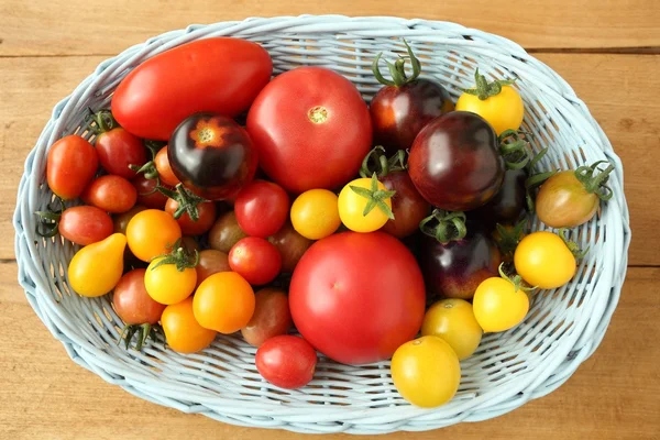 Tomaten — Stockfoto