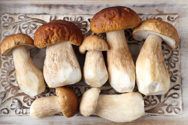 Porcini mushrooms — Stock Photo, Image