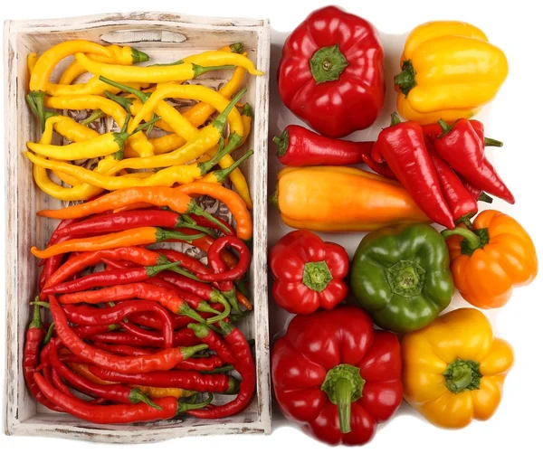 Farbige Paprika — Stockfoto