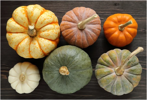Squash and pumpkins — Stock Photo, Image