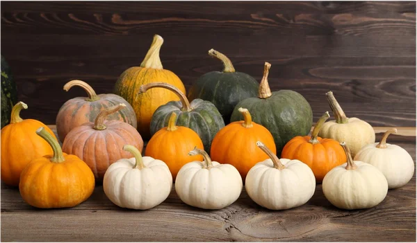 Calabazas — Foto de Stock