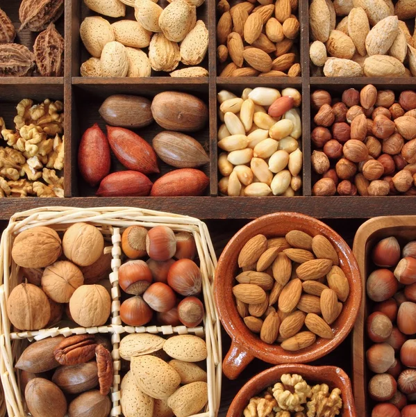 Nuts. — Stock Photo, Image