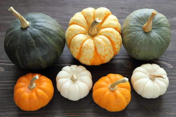 Squash en pompoenen — Stockfoto