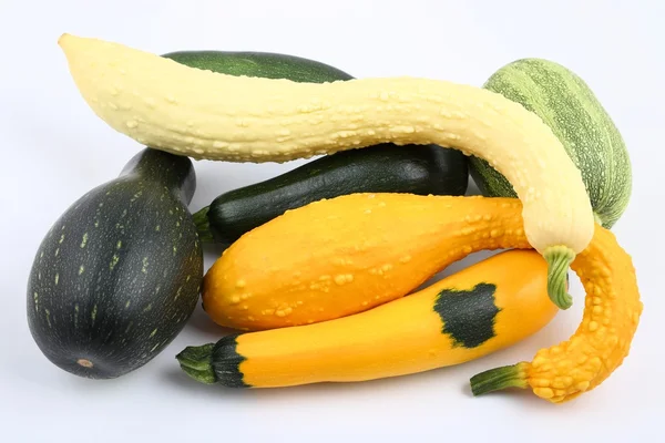 Zucche e zucchine — Foto Stock