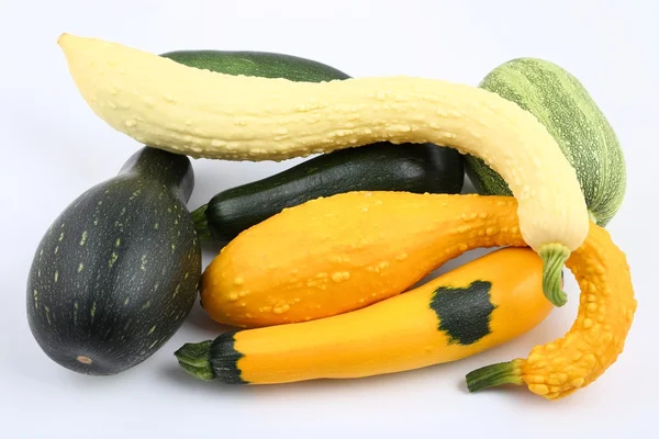 Squashes  and zucchini — Stock Photo, Image