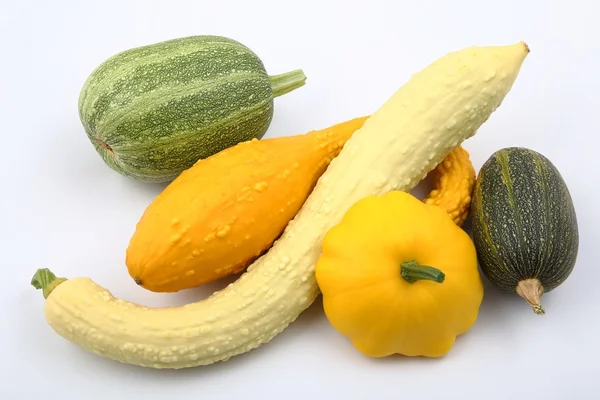 Squash  and zucchini — Stock Photo, Image