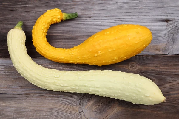 Squashes. — Stock Photo, Image