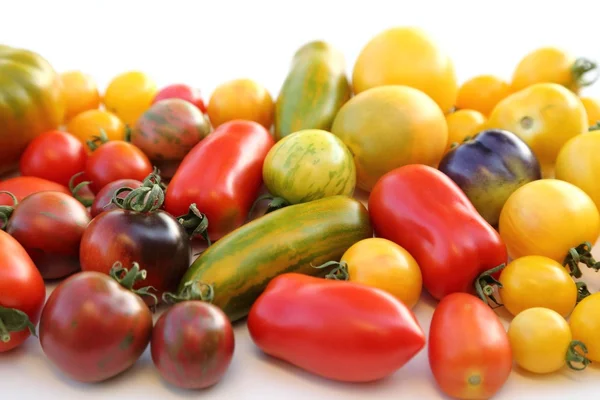 Tomaten — Stockfoto