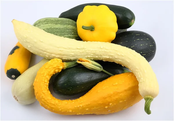 Squash  and zucchini — Stock Photo, Image