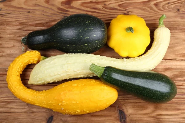 Squashes  and zucchini — Stock Photo, Image