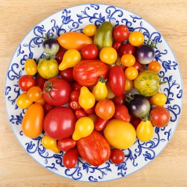 Tomaten. — Stockfoto