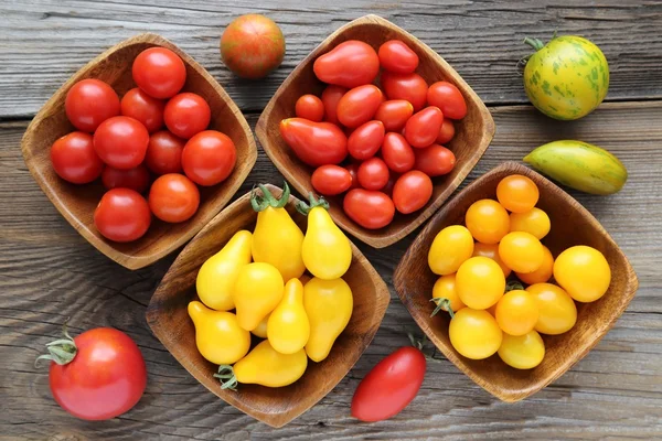 Tomaten. — Stockfoto