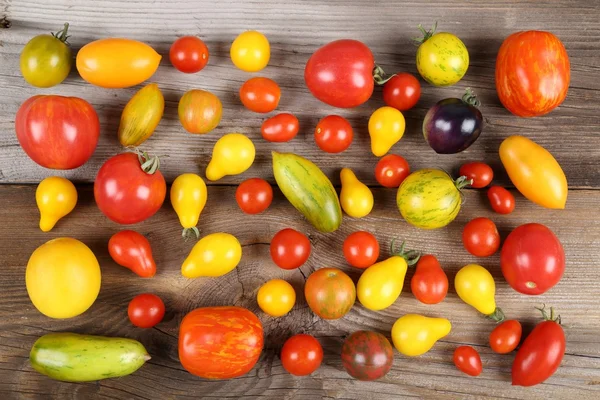 Tipo diferente colorido de tomates . — Fotografia de Stock