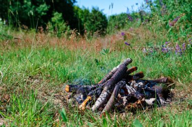 Ormanda şenlik ateşi yanıyor. Yeşil çimenler, güzel hava..