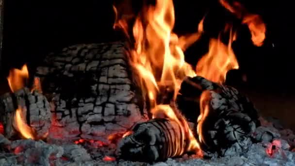 Kırıcı tuğla fırınında yanan ahşap. Örgü öbekleri arkaplanda yakılıyor. — Stok video
