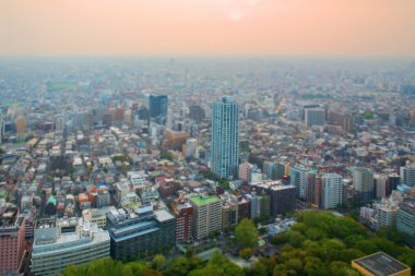Cityscape Tokyo, Tokyo metrosu ücretsiz observator görünümünden