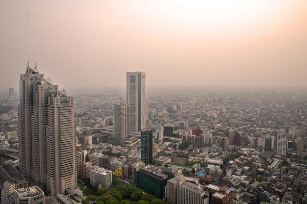 Paisaje urbano de Tokio, la vista desde el observador libre del Metro de Tokio — Foto de Stock