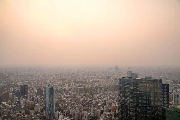 Del observador libre del edificio del Gobierno Metroplitano de Tokio — Foto de Stock
