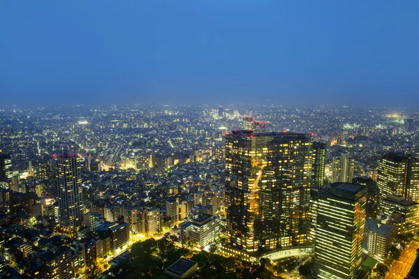 Del observador libre del edificio del Gobierno Metroplitano de Tokio — Foto de Stock