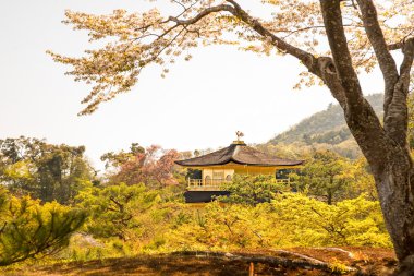 Eski Japon altın kale, Kinka Kinkakuji (altın Pavilion) olduğunu
