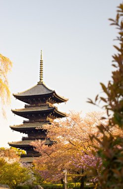 Kyoto, Japonya yaz Toji tapınağında