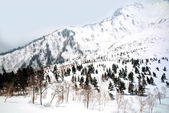 Картина, постер, плакат, фотообои "japan alps , winter moutains with snow.", артикул 82890230