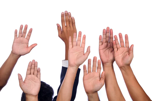 Diversity of Business Hands Raised — Stock Photo, Image