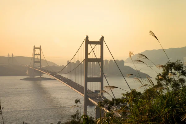 Hong Kong Köprüsü, öyle güzel Tsing Ma Bridge Hong Kong Telifsiz Stok Imajlar